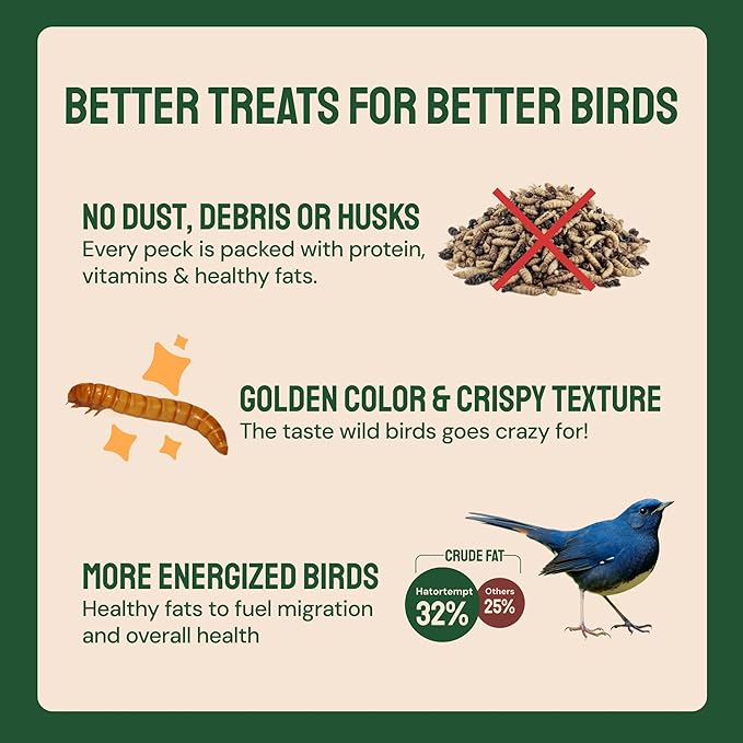 Hatortempt 2lb Dried Mealworms for Chickens - 50% Protein and 32% Essential Fats to Support Healthy Feather Growth During Molt - Organic Treats for Chickens, Ducks, Wild Birds & Reptiles