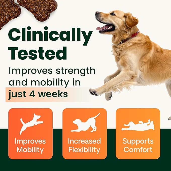 VetriScience Ultimate Strength Hip & Joint Supplement for Dogs, GlycoFlex Plus – MSM, Chondroitin & Green-Lipped Mussel Chews for Mobility, Flexibility, Comfort & Support, Peanut Butter Flavor 120 Cnt