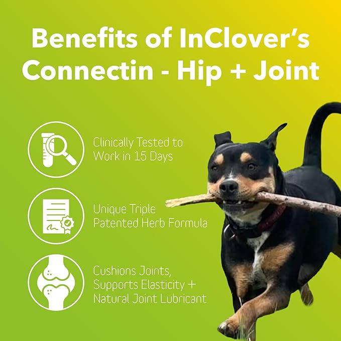 In Clover Hip and Joint Supplement for Large Dogs 70 Pounds and Up with Glucosamine Chondroitin, and Hyaluronic Acid – Formulated for Large Breeds – Clinically Proven Hip and Joint Support