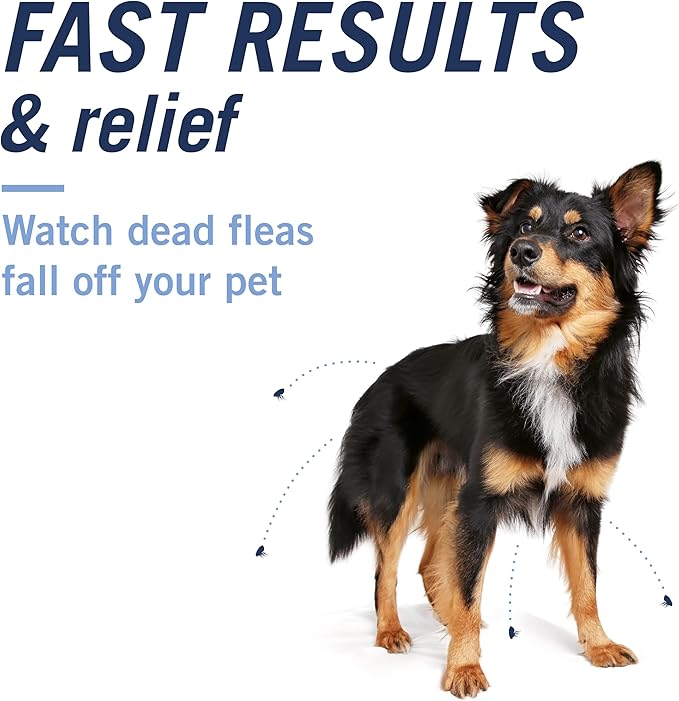 PetArmor CAPACTION (nitenpyram) Oral Flea Treatment for Dogs, Fast Acting Tablets Start Killing in 30 Minutes, Small Dog Flea Treatment 2-25 lbs, 6 Doses