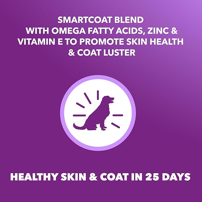 IAMS Advanced Health Skin & Coat Adult Dry Dog Food Chicken and Salmon Recipe, 4.5 lb. Bag