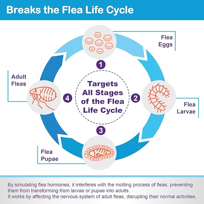 Topical Flea and Tick for Large Cats: Waterproof Topical Cat Flea and Tick – Fast-Acting & Long-Lasting at Home Control for Cats Over 9 lbs and 8 Weeks or Older – 6-Dose Supply