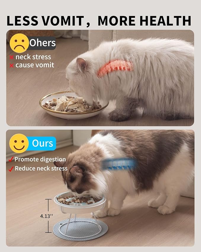 Elevated Cat Slow Feeder Bowls,Whisker Friendly Cat Bowl, Ceramic Raised Slow Feeder, Anti Vomit Promotes Digestion Bowls for Dry and Wet Food