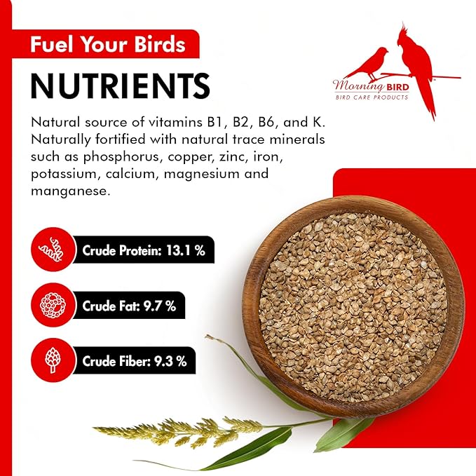 Morning Bird Japanese Millet Seed Bag 1.5 lbs - Healthy & Nutritious Pet Bird Food to Support Health & Immunity - Delicious Unique and Natural Flavor – Ideal Bird Feed for All Seed Eating Birds
