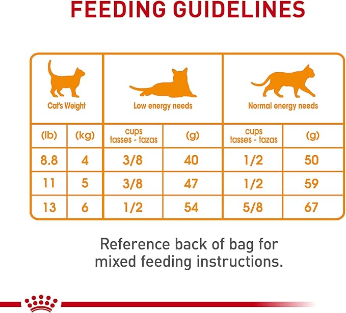 Royal Canin Feline Care Nutrition Hair & Skin Care Adult Dry Cat Food, 3 lb Bag