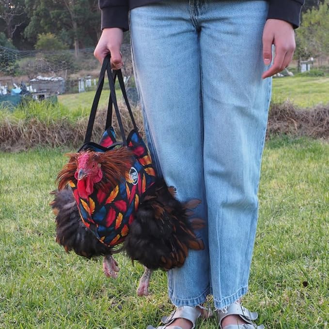 DOWN UNDER OUTDOORS Chicken Carrier Sling Holder Bag with Handle, Chicken Accessories for Foot Treatment, Medic, Leg Injuries, Bumblefoot, Poultry Farm Carrying, Transport, Three Sizes (Small)