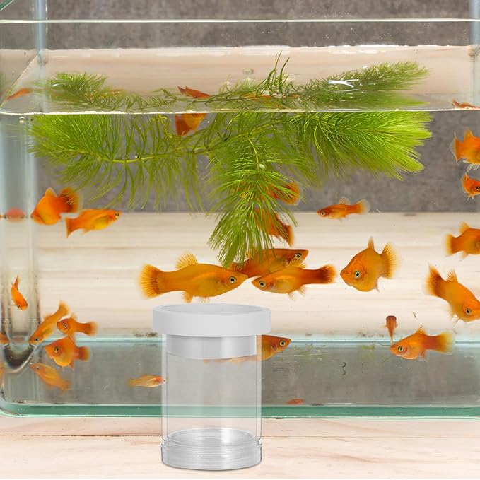 Floating Fish Incubator and Small Fish Breeding Isolation Box with Suction Cups, Aquarium Egg Isolation Chamber for Guppy Fry Hatchery and Aquarium Breeding