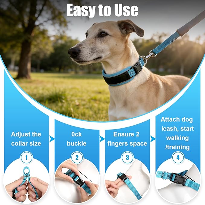 Lightweight Prong Collar for Dogs, Reflective No Pull Dog Collar | Adjustable Size Dog Pinch, Breathable Woven Fabric Air Grid Technology, Martingale Collar for Dogs Training(Blue-L)