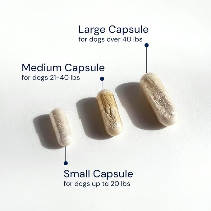 Animal Biome Gut Maintain Probiotics and Prebiotics for Dogs - Reduce Diarrhea Flareups - for Medium Dogs (60 Capsules)