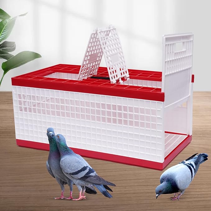 Plastic Foldable Pigeon Carrier Cage, Racing Pigeon Carrier Box with Handle 23.6"X12.2"X10.2" Portable Bird Travel Carriers Cage Bird Training Basket with 2 Side Doors and 2 Top Department