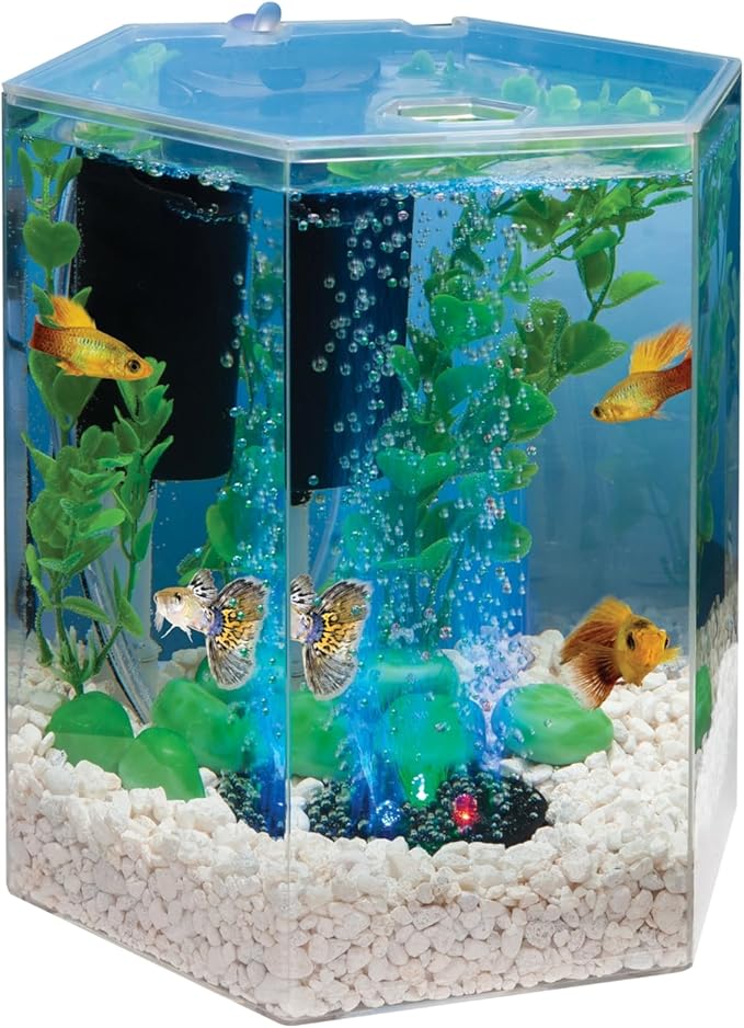 Tetra Bubbling LED Aquarium Kit 1 Gallon, Hexagon Shape, With Color-Changing Light Disc