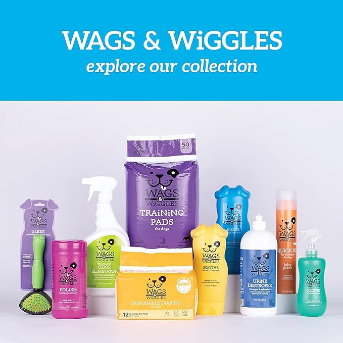 Wags & Wiggles Freshen Deodorizing Wipes for Dogs, Fresh Strawberry Scent - Dog Wipes Eliminate Odors - Easy and Convenient Way to Freshen Your Pet Without A Bath, 100 Count - 12 Pack