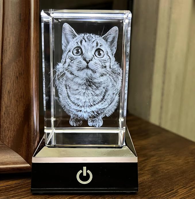 Dog Memorial Gifts for Pet Loss – Personalized Crystal Photo for Dogs & Cats, Custom Laser Etched Crystal (Small Landscape)