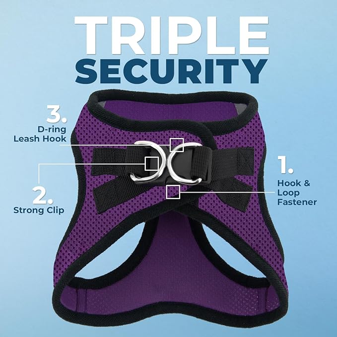 Best Pet Supplies Voyager Step-in Air Harness - All Weather Mesh, Reflective, No Pull Harness for Dogs, Cats - Secure with Hook & Loop Fastener, Buckle, Double D-Rings - Purple/Black Trim, XXXS