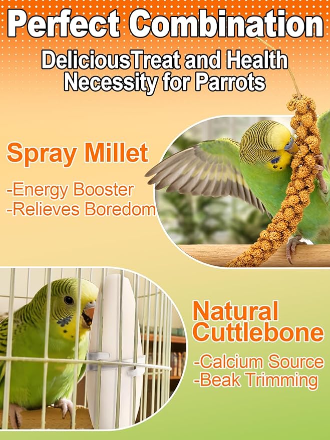 MEWTOGO Spray Millet & Cuttlebone Bird Treats Set - 1lb Hand Selected Golden Millet Treats for Parakeets Cockatiel Lovebirds Canaries Finches, Energy & Calcium Boost