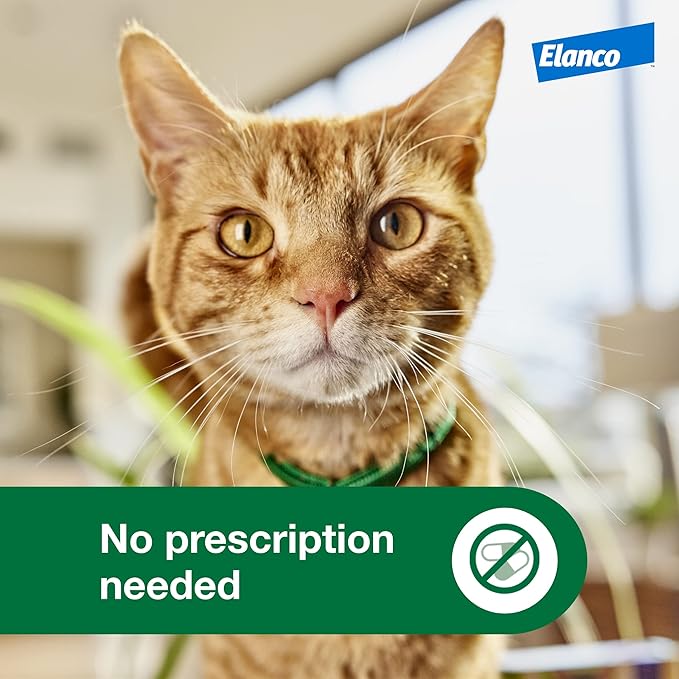 Advantage XD Large Cat Flea Prevention & Treatment For Cats over 9lbs. | 4-Topical Doses, 2-Months of Protection Per Dose