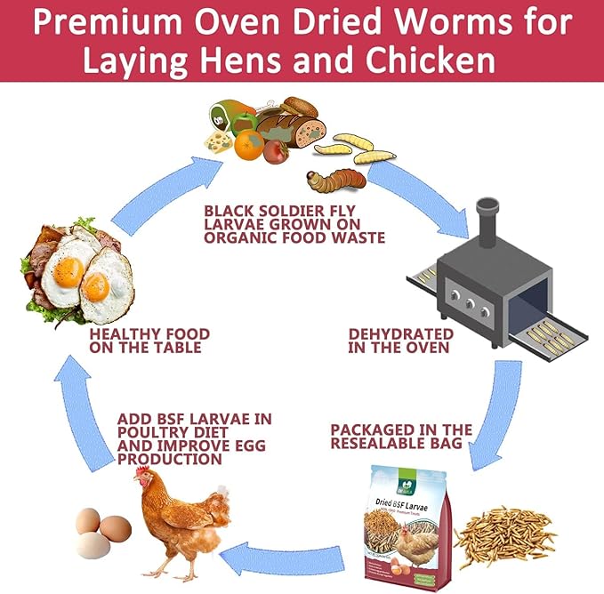 DE AVILA 2.5LB Dried Black Soldier Fly Larvae for Chickens Bulk, Non GMO 86X High Calcium Grubs Than Meal Worms for Laying Hens,100% Natural BSF Larvae for Chicken Wild Bird Treats