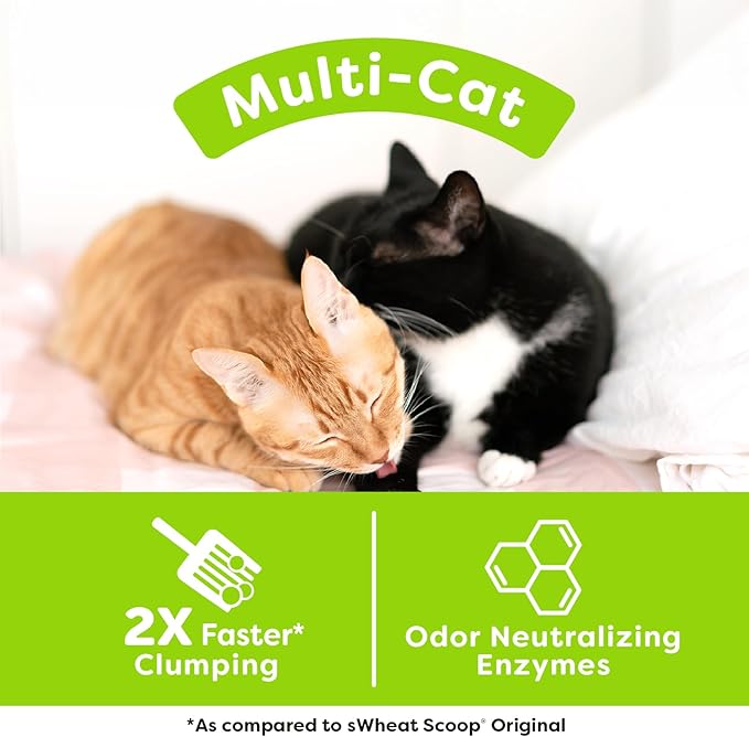 sWheat Scoop Natural Wheat Multi-Cat Litter, Superior Clumping with Odor Neutralizing Enzymes, 25 Pound Bag