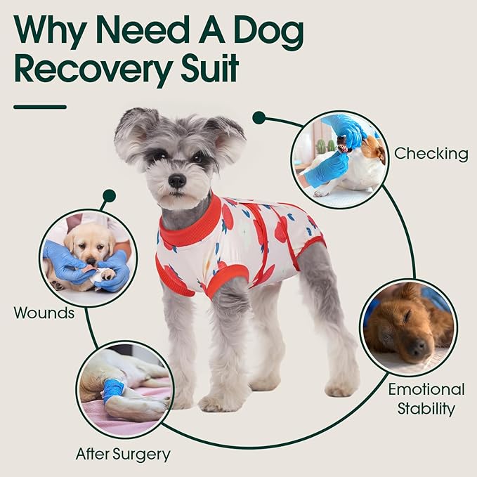 Kuoser Recovery Suit for Dogs After Surgery, Dog Surgical Recovery Suit Female Male Spay Neuter, Anti-Licking Dog Onesie for Abdominal Wounds Skin Disease, Pet Surgery Bodysuit Cone Alternative, XS