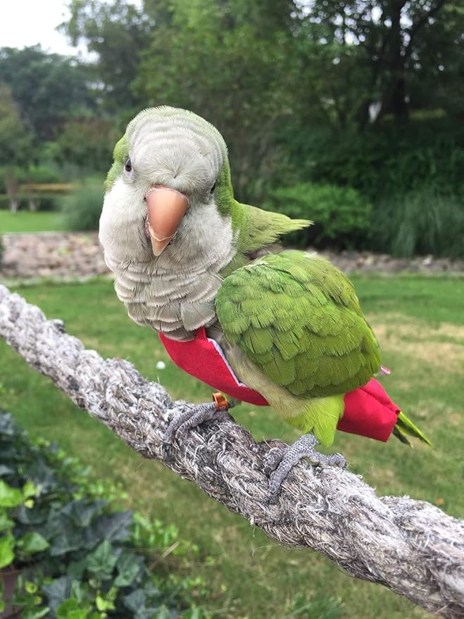 Parrot Diaper Bird Flight Suit, Bird Clothes, Waterproof Lining Pet Bird Supplies (2XL, Red)
