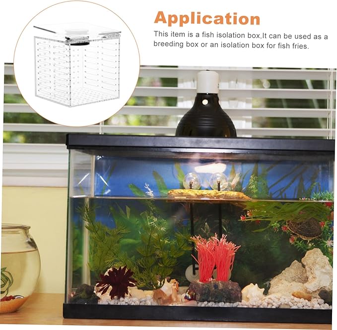 Garneck 1pc Magnetic Fish Isolation Box for Safe Breeding and Separation of Fish Aquariums Easy to Install Hatching Holder Ultra-fine Mesh for Enhanced Survival Rate