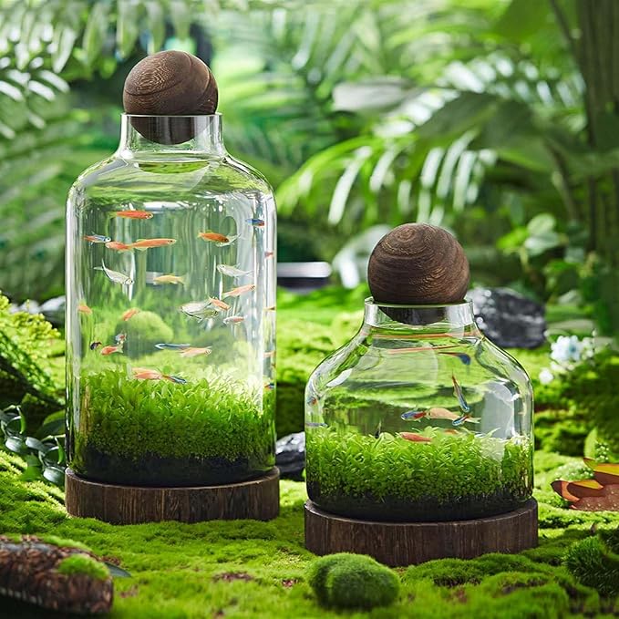Glass Aquarium Fish Tank Plant Terrarium Bowl Micro Ecological Landscape Self-circulating Plant Vase Desktop Planter Jars Breeder Box, B