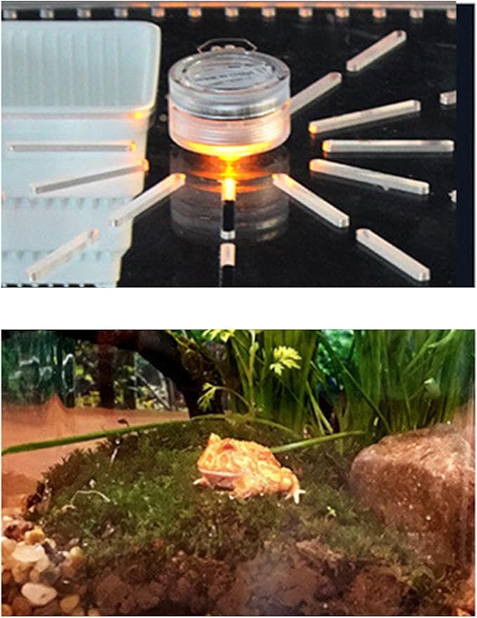 Reptile Terrarium Aquarium Breeding Tank, Transparent Acrylic Breeding Box Creative Desktop Reptile Box Spider Scorpion Pet Hatching Breeding Box Habitat Terrariums Habitat Box with LED Night Light