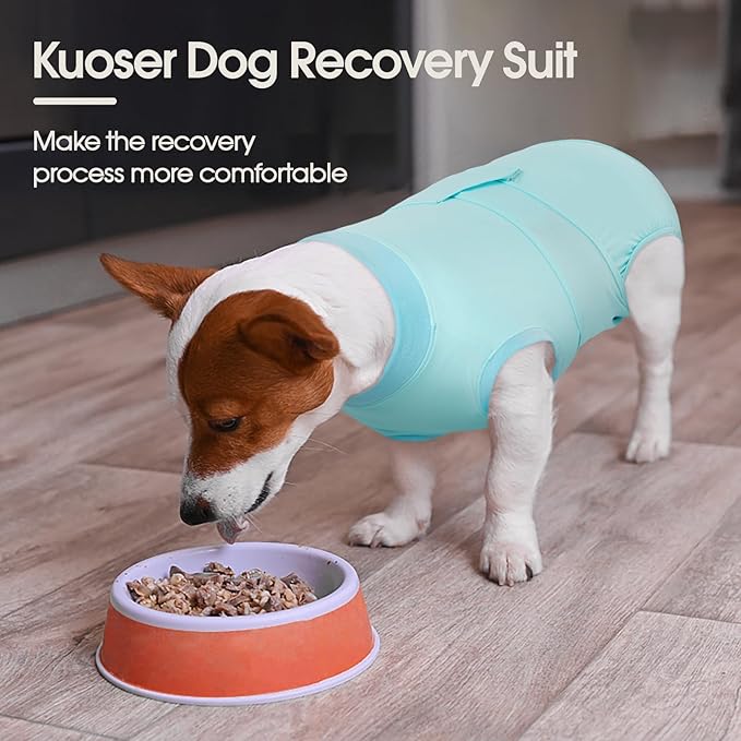 Kuoser Dog Recovery Suit for Dogs After Surgery, Soft Dog Surgical Onesie for Female Male Dogs Spay Neuter, Anti-Licking Pet Bodysuit for Abdominal Wounds, Skin Disease, E-Collar Alternative, Blue L