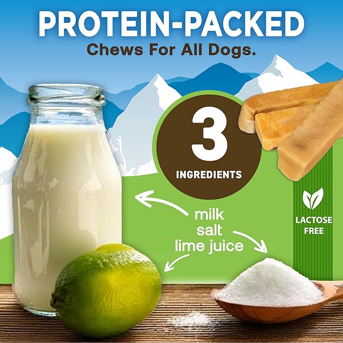 EcoKind Premium Gold Yak Cheese Himalayan Dog Chews, Dog Treats for Medium Dogs, All Natural, High Protein, for Aggressive Chewers, Medium - 6 Chews