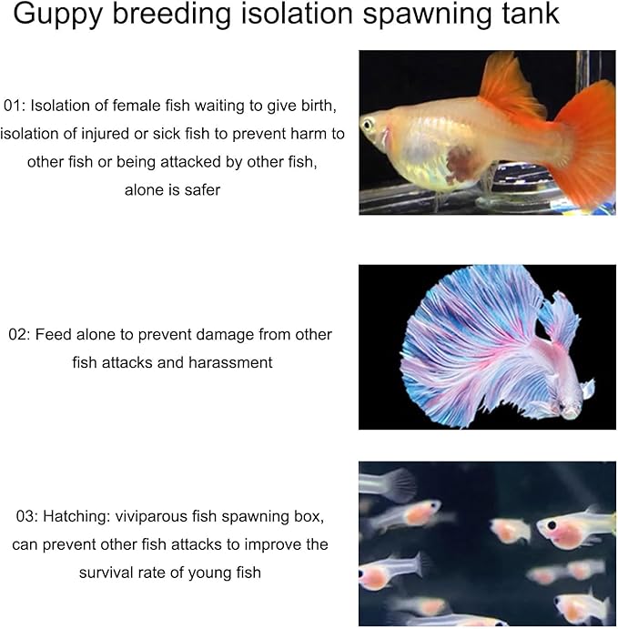 Fish Breeder Box for Raising Fry in Aquariums with Suction Cup Mounting/Floating Breeding Box 3Pcs Floating Hatchery Incubator
