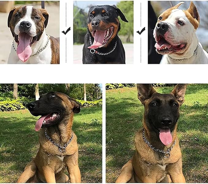 Chain Choke Collar for Dogs, Metal Slip Link Training Heavy Duty Dog Collar Martingale Puppy Collars for XXS XS Small Medium Large Big XL Breed Dogs (Silver, XL(Neck Max 22inch) D4mm)