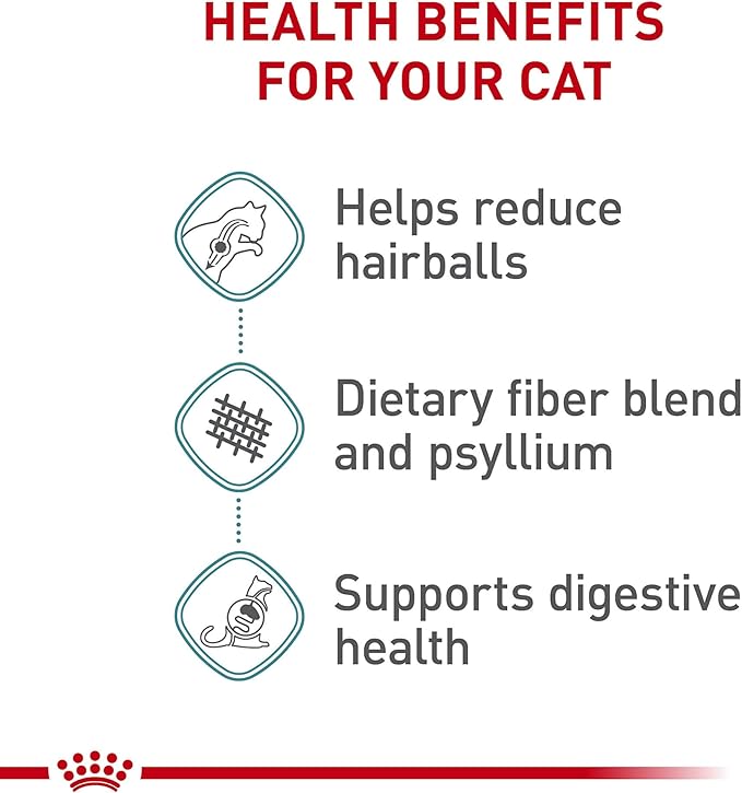 Royal Canin Feline Care Nutrition Hairball Care Adult Dry Cat Food, 6 lb Bag