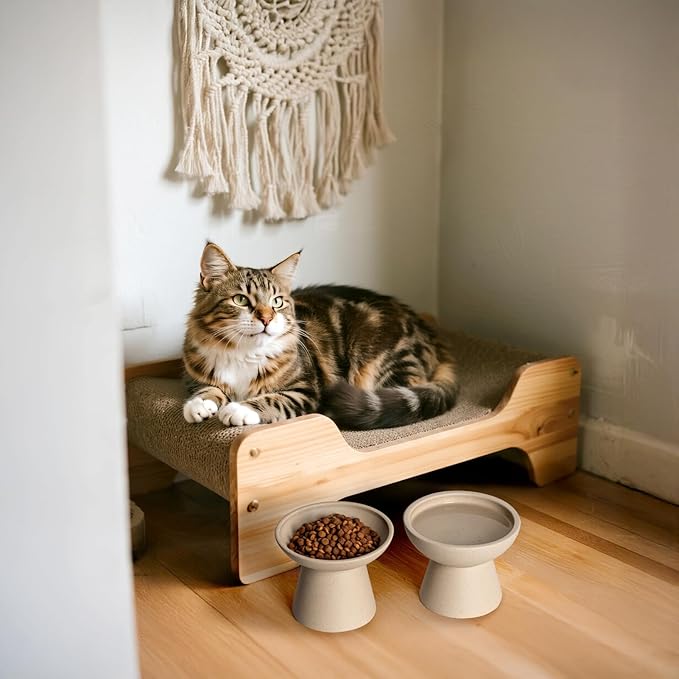 Extra Wide Elevated Ceramic Cat Bowl - 6.2" Shallow Dish for Whisker Fatigue Relief, 5" Height for Easy Feeding, Lead & Cadmium Free, Durable Raised Cat Food Bowls, Pottery Clay (Not Glazed)