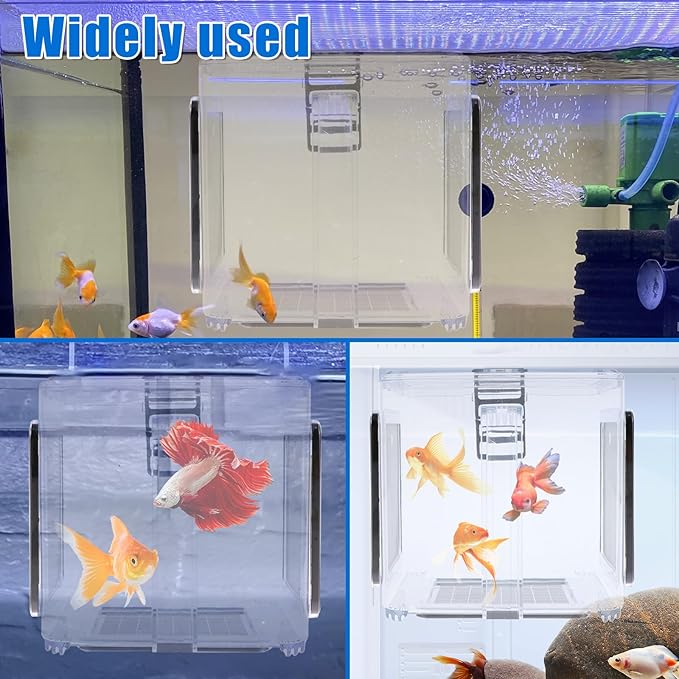 Fish Breeding Box, Fish Isolation Box, Acrylic Fish Isolation Hatchery Tank, Hanging Aquarium Fish Incubator Box with Detachable Mesh Lid for Baby Fish Guppy Betta Newborn Fish Shrimp 5.9x5.9x5.9