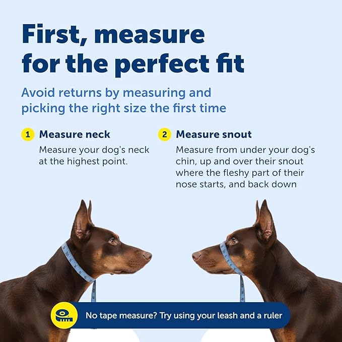 PetSafe Gentle Leader No-Pull Dog Headcollar - The Ultimate Solution to Pulling - Redirects Your Dog's Pulling for Easier Walks - Helps You Regain Control - Small, Apple Green