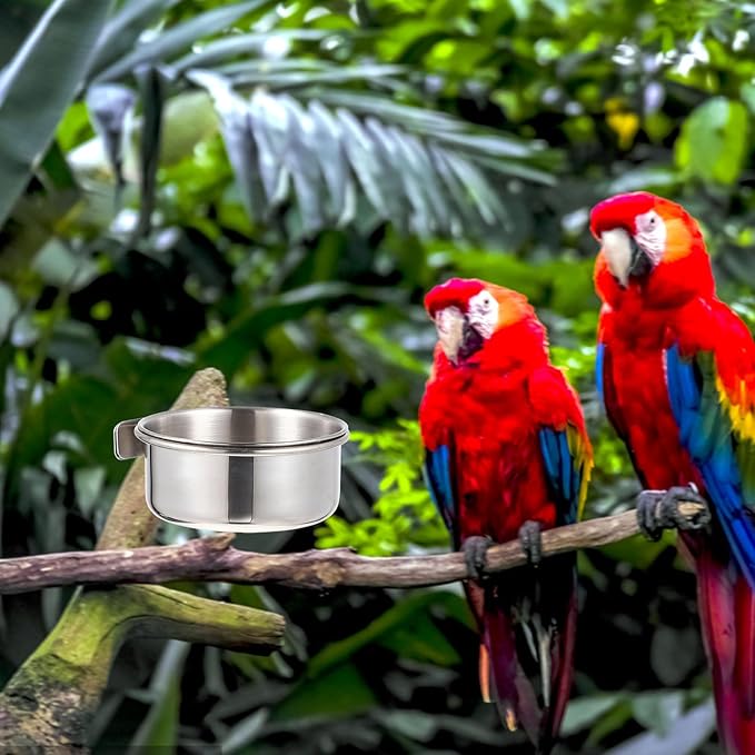 Yardwe Stainless Steel Bird Food Cup 2-Pack Small Cage Feeders with Clamp for Parrots Budgies Cockatiels Durable Bird Food Bowls for Easy Feeding