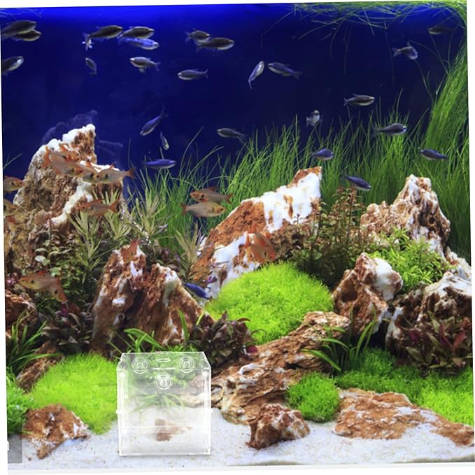 ibasenice Fish Isolation Box for Aquarium Practical Fish Tank Incubator Box for Guppy and Shrimp Breeding Lightweight Easy to Install Cups for Protecting Newborns and Eggs