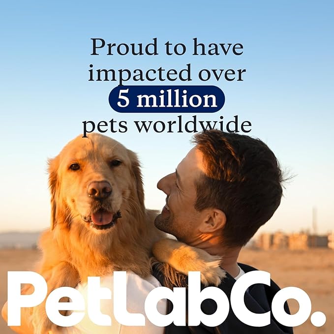Petlab Co. Joint Care Chews for Dogs - High Levels of Glucosamine, Green Lipped Mussels, Omega 3 and Turmeric - Hip and Joint Supplement for Dogs to Actively Support Mobility, Packaging May Vary