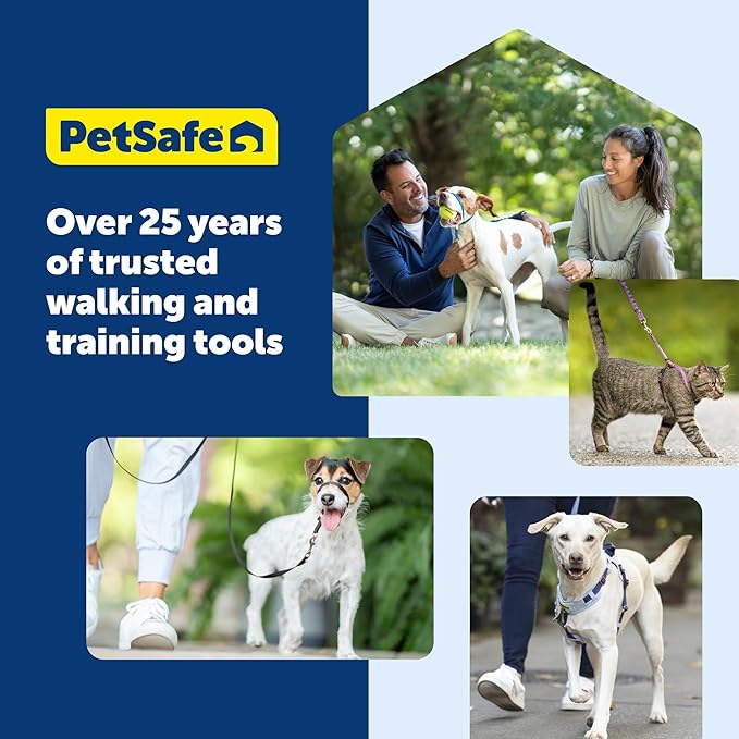 PetSafe Gentle Leader Headcollar No-Pull Dog Collar - Helps Improve Walks - Durable Nylon Construction - Padded Nose Loop - Adjustable Fit - Comfort Walking Halter - Large, Apple Green