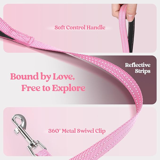 rabbitgoo Dog Harness Small Sized and Leash Set, Step in Soft Light Puppy Vest, Breathable Mesh Pet Harness, Reflective for Safe Easy Walking, Light Pink M