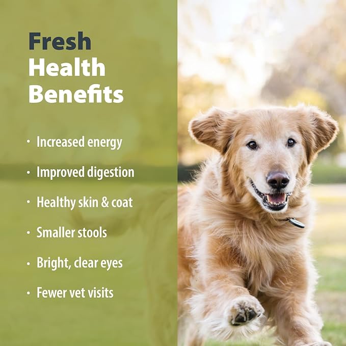 JustFoodForDogs Pantry Fresh Wet Dog Food, Complete Meal or Dog Food Topper, Lamb & Brown Rice Human Grade Dog Food Recipe - 12.5 oz (Pack of 6)