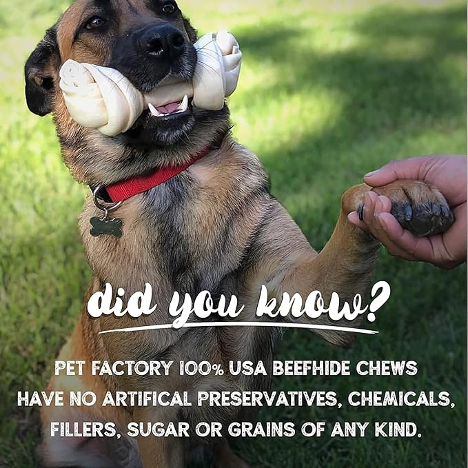 Pet Factory 7in Braided Beefhide Dog Chew Sticks with Peanut Butter Flavor - 100% USA Made Rawhide Chews for Medium Dogs, Long Lasting Dental Health, 7 inches (Pack of 6)