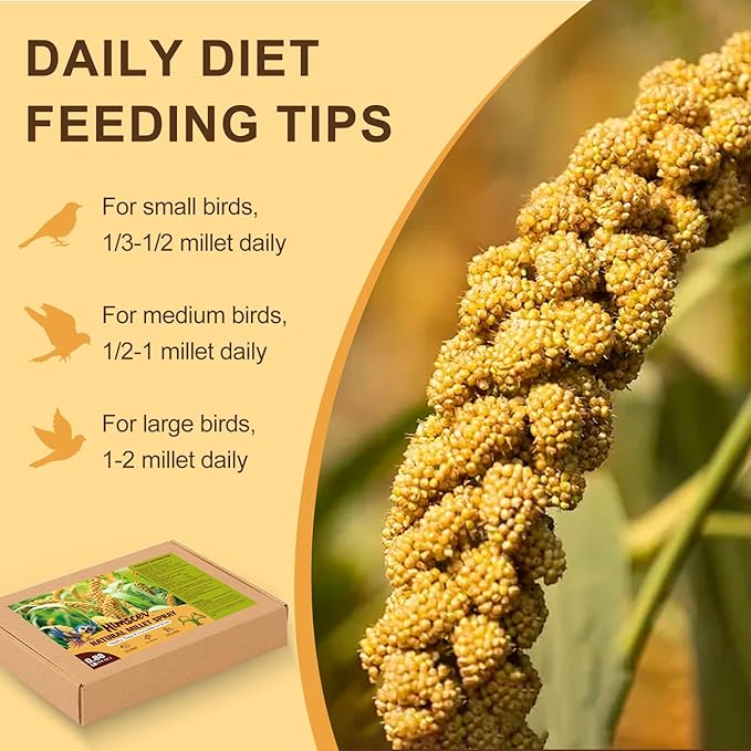 Natural Sun-Dried Spray Millet for Birds - 0.88LBS, Non-GMO Healthy Bird Treat Food for Parakeets, Cockatiels, Parrots, Lovebirds, Finches & Canaries