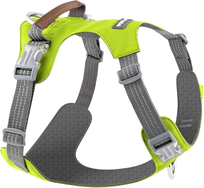 No Pull Dog Harness – Adjustable Reflective Nylon Vest for Small Medium Large Dogs, Escape Proof Training Harness with Leather Control Handle, Lightweight Aluminum Hardware (Green, S)