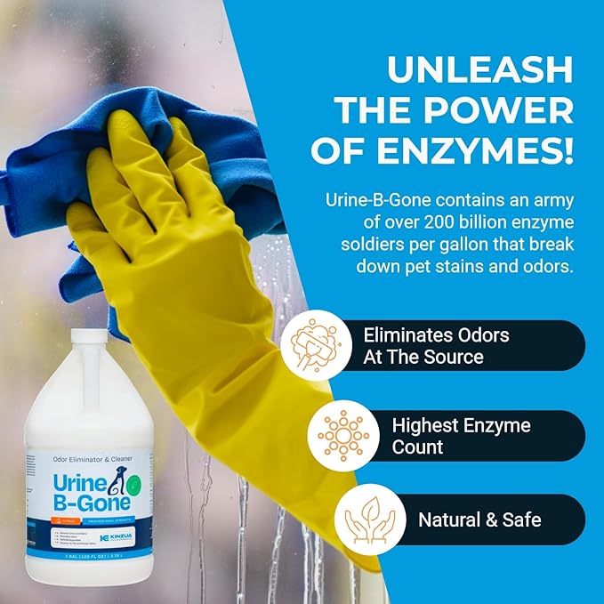 Urine B-Gone, Professional Enzyme Odor Eliminator & Pet Stain Remover, Human, Cat & Dog Urine Cleaner, Effective on Laundry, Carpets & More, Citrus Scent, 1 Gallon