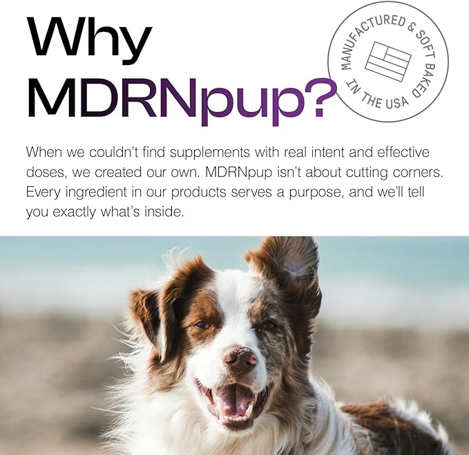 MDRNpup® Unique Dog Treats, Human Grade and All-Natural, Only Three Ingredients, High Protein - Amino Acids, Nothing Artificial, Soft Baked in The USA (13.2 Ounce, Whey Isolate Protein)