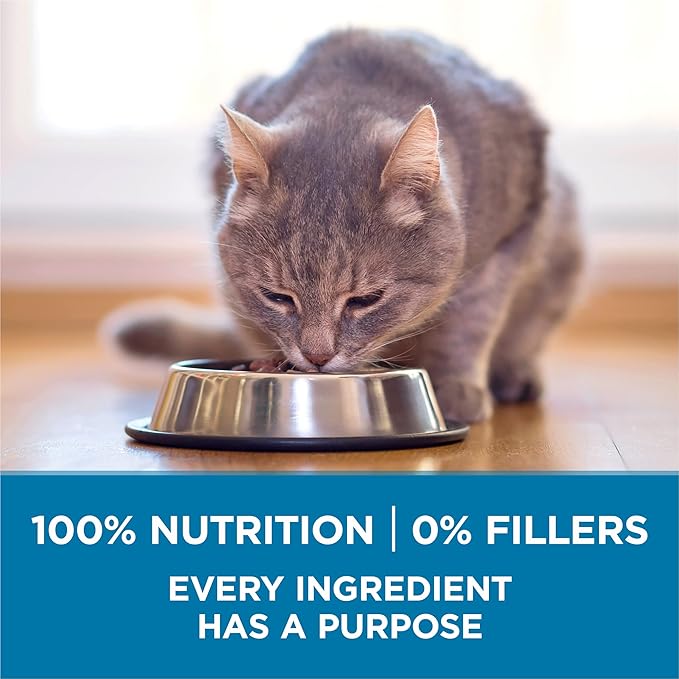 Purina ONE High Protein, Natural Senior Dry Cat Food, Indoor Advantage Senior+ - 3.5 lb. Bag