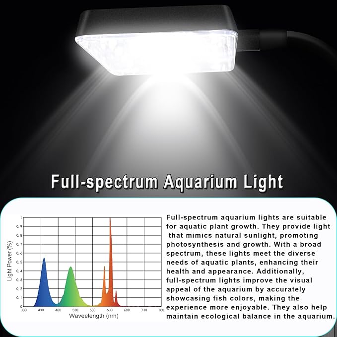 3 Gallon 12.6" L Fish Nano Glass Aquarium, with Separator Plate for Betta, Multi-Functional Square Fish Tank with Filter, LED Light, White 4mm Glass