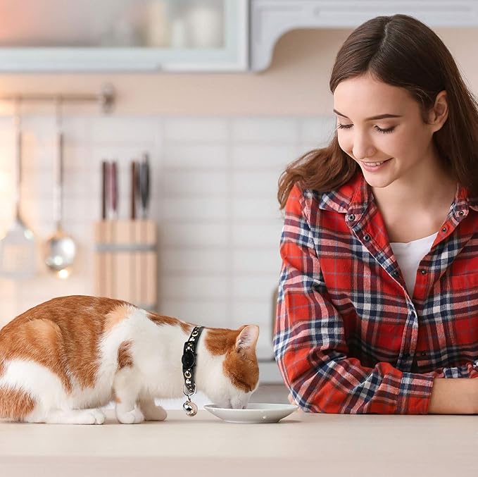Baeuppit 2PCS Breakaway Cat Collars with Bell Cute Kitty Glow in The Dark Adjustable Kitten Collars(Orange&Black)