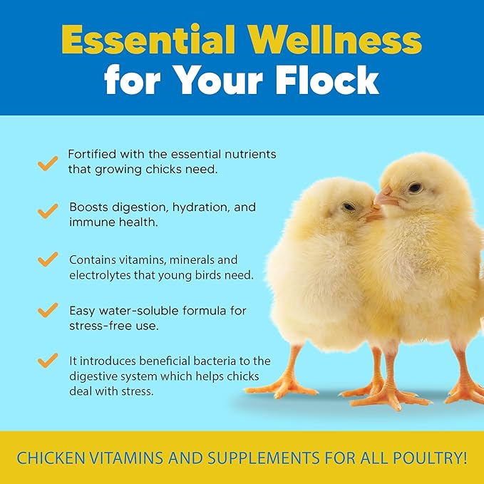 Flock PRO Chick Boost Probiotic - Probiotics, Vitamins, Minerals and Electrolytes for Chickens | Chicken Vitamins and Supplements for All Poultry - 3 oz